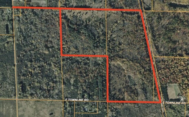 V/L118A E Townline Rd, Free Soil, MI 49411