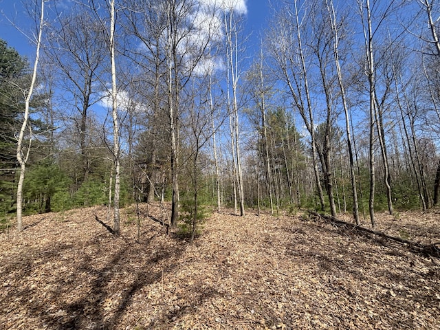 V/L118A E Townline Rd, Free Soil, MI 49411
