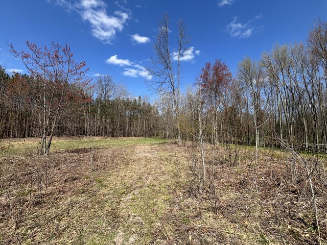 V/L118A E Townline Rd, Free Soil, MI 49411