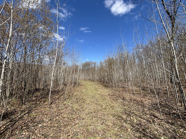 V/L118A E Townline Rd, Free Soil, MI 49411