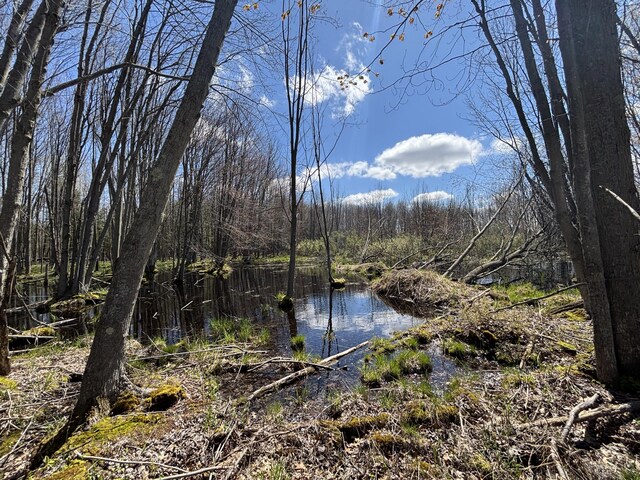 V/L118A E Townline Rd, Free Soil, MI 49411