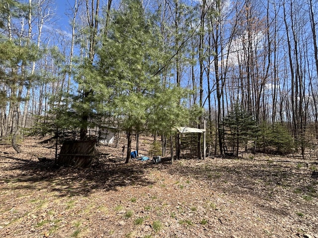 V/L118A E Townline Rd, Free Soil, MI 49411