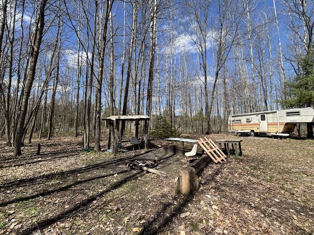 V/L118A E Townline Rd, Free Soil, MI 49411