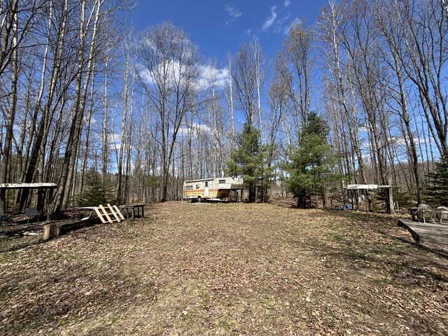 V/L118A E Townline Rd, Free Soil, MI 49411
