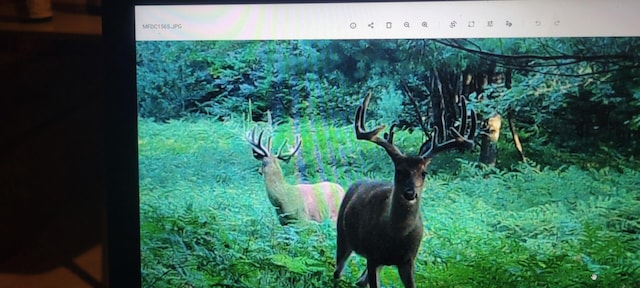 V/L118A E Townline Rd, Free Soil, MI 49411