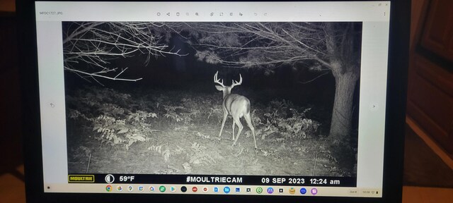 V/L118A E Townline Rd, Free Soil, MI 49411