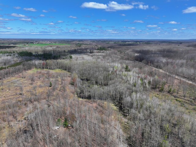 V/L118A E Townline Rd, Free Soil, MI 49411