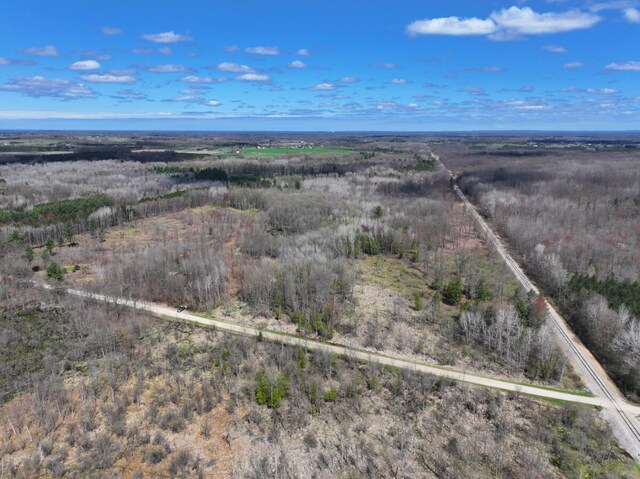 V/L118A E Townline Rd, Free Soil, MI 49411