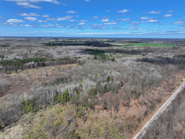 V/L118A E Townline Rd, Free Soil, MI 49411