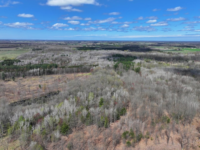 V/L118A E Townline Rd, Free Soil, MI 49411