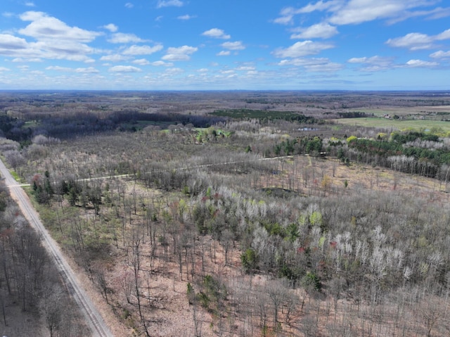 V/L118A E Townline Rd, Free Soil, MI 49411