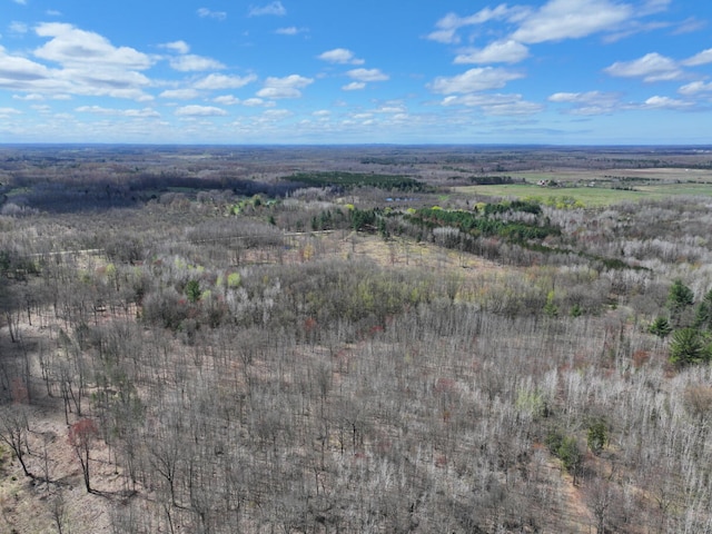 V/L118A E Townline Rd, Free Soil, MI 49411