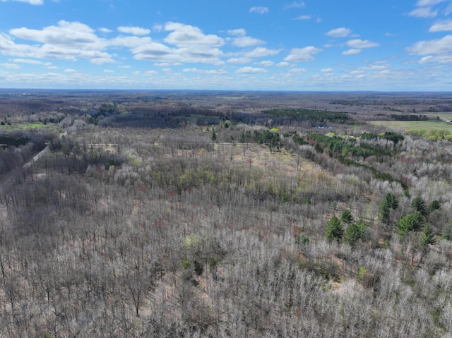 V/L118A E Townline Rd, Free Soil, MI 49411