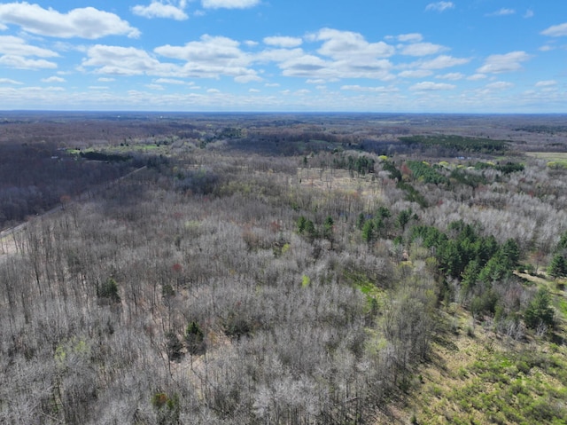 V/L118A E Townline Rd, Free Soil, MI 49411