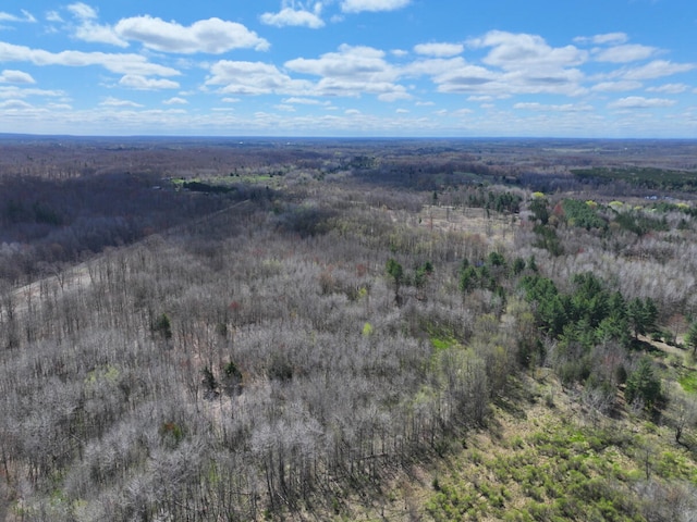 V/L118A E Townline Rd, Free Soil, MI 49411