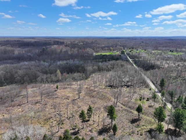 V/L118A E Townline Rd, Free Soil, MI 49411