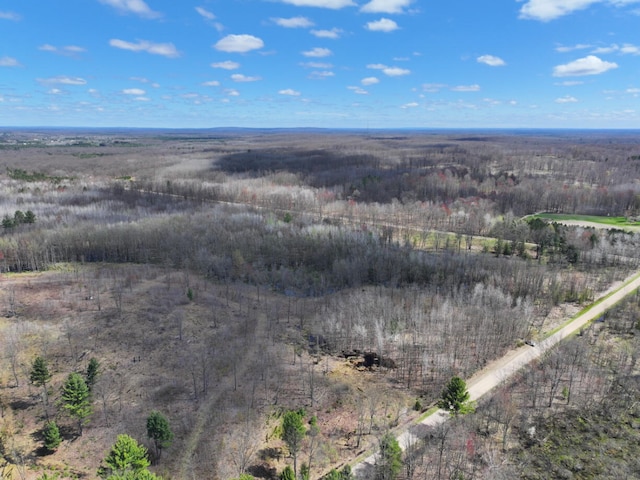 V/L118A E Townline Rd, Free Soil, MI 49411