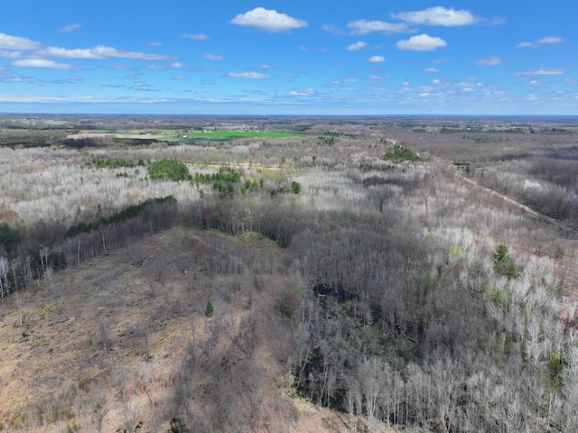V/L118A E Townline Rd, Free Soil, MI 49411