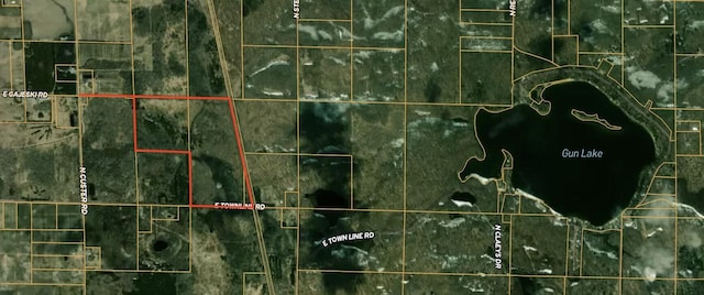 V/L118A E Townline Rd, Free Soil, MI 49411