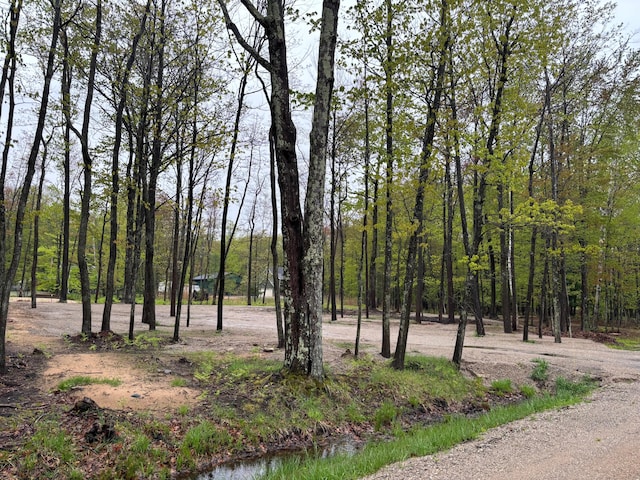 4780 N Ridge Rd, Mears, MI 49436