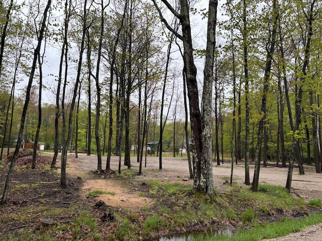 4780 N Ridge Rd, Mears, MI 49436