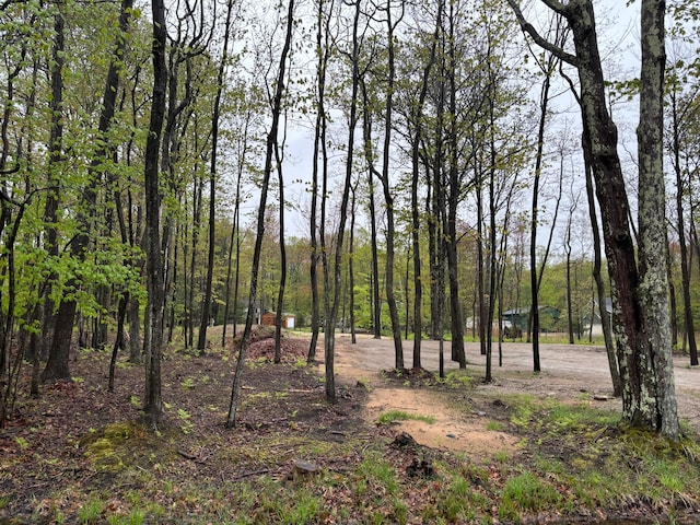 4780 N Ridge Rd, Mears, MI 49436