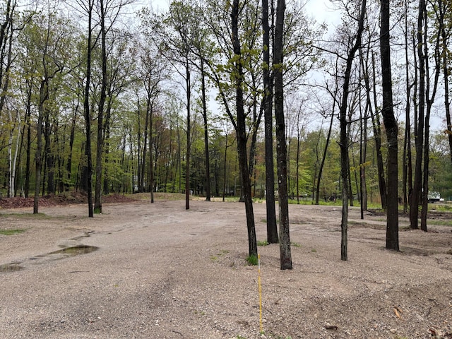 4780 N Ridge Rd, Mears, MI 49436