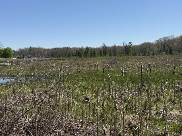 E Dennis Dr, Walkerville, MI 49459