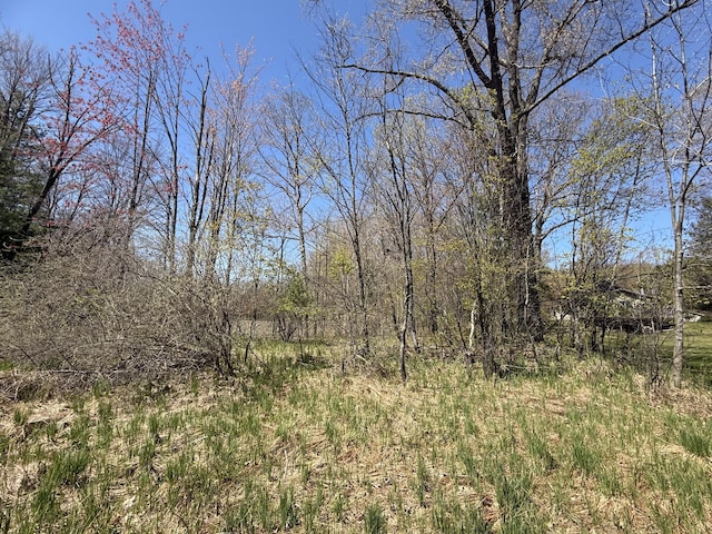 E Dennis Dr, Walkerville, MI 49459