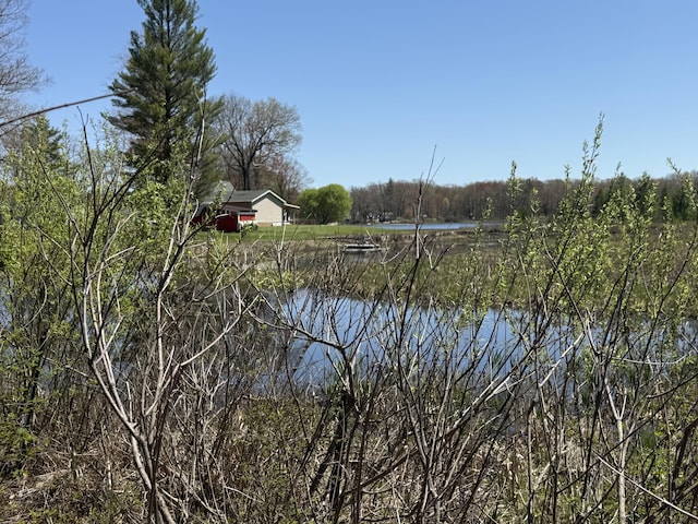 E Dennis Dr, Walkerville, MI 49459