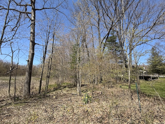 E Dennis Dr, Walkerville, MI 49459