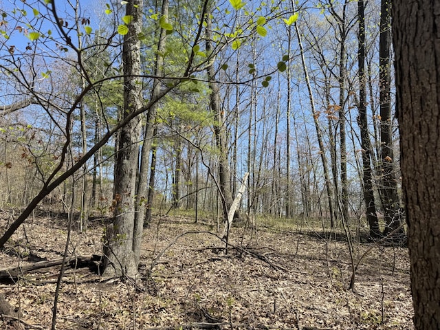 E Dennis Dr, Walkerville, MI 49459