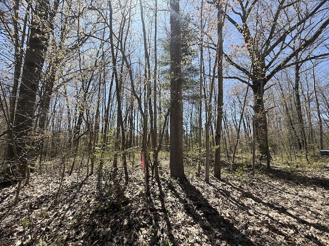 E Dennis Dr, Walkerville, MI 49459