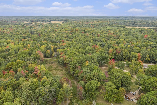 E Dennis Dr, Walkerville, MI 49459