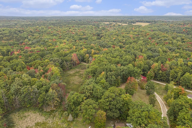 E Dennis Dr, Walkerville, MI 49459