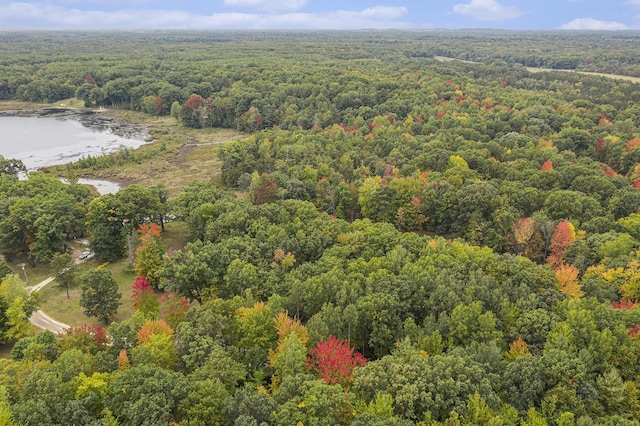 E Dennis Dr, Walkerville, MI 49459