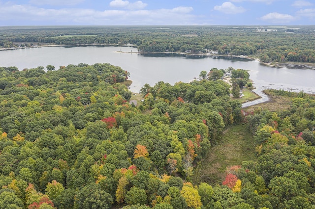 E Dennis Dr, Walkerville, MI 49459