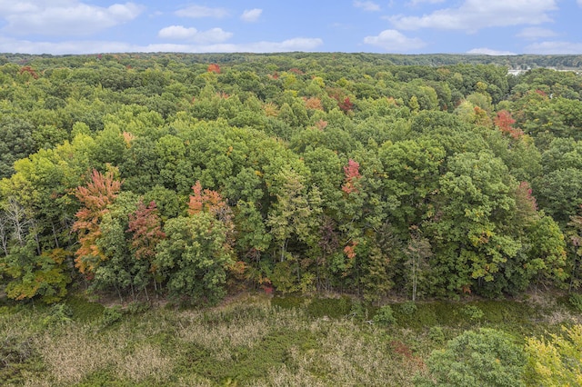 E Dennis Dr, Walkerville, MI 49459