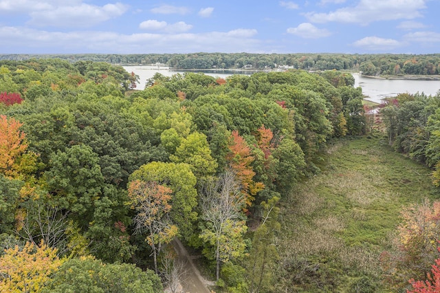 E Dennis Dr, Walkerville, MI 49459