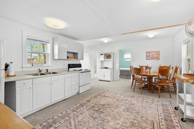 1098210976 Beech Is, Plainwell, MI 49080 - kitchen with electric stove, a sink, plenty of natural light, and light countertops