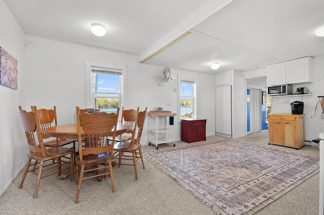 1098210976 Beech Is, Plainwell, MI 49080 - dining area with light carpet, baseboards, and a baseboard heating unit