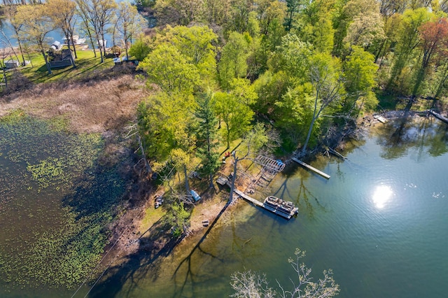 1098210976 Beech Is, Plainwell, MI 49080 - bird's eye view of a large body of water