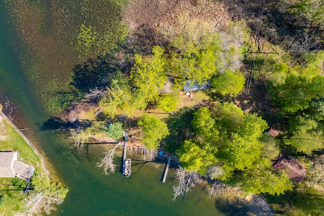 1098210976 Beech Is, Plainwell, MI 49080 - bird's eye view