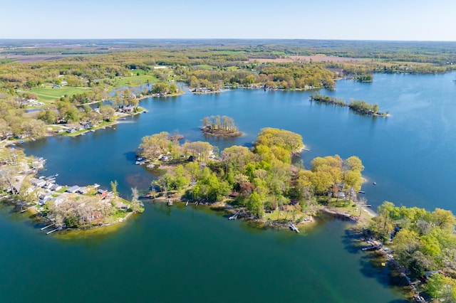 1098210976 Beech Is, Plainwell, MI 49080 - aerial overview of property's location with a large body of water and a forest