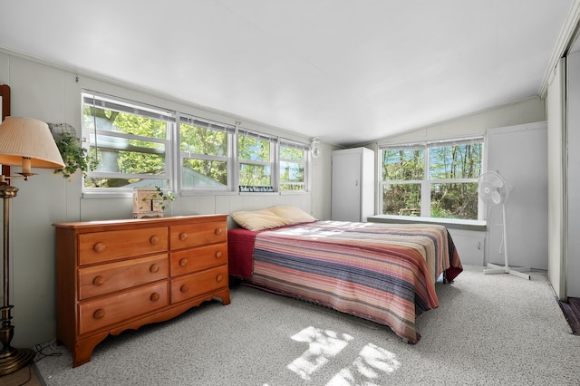 1098210976 Beech Is, Plainwell, MI 49080 - bedroom featuring lofted ceiling and light carpet