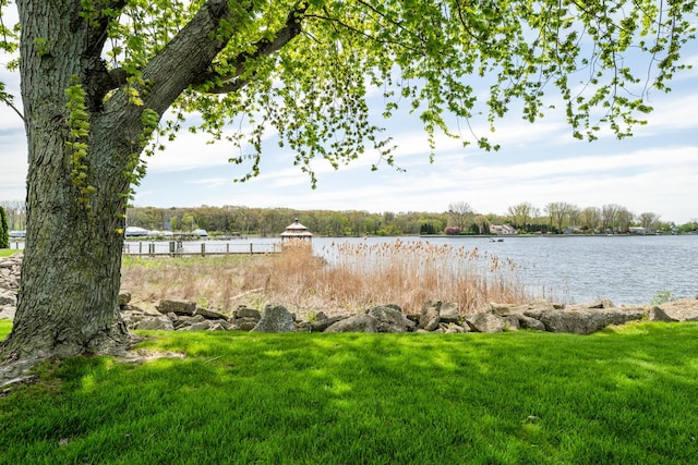 405 Anchors Way, Saint Joseph, MI 49085 - water view
