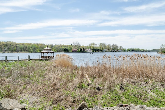 405 Anchors Way, Saint Joseph, MI 49085 - water view featuring a gazebo