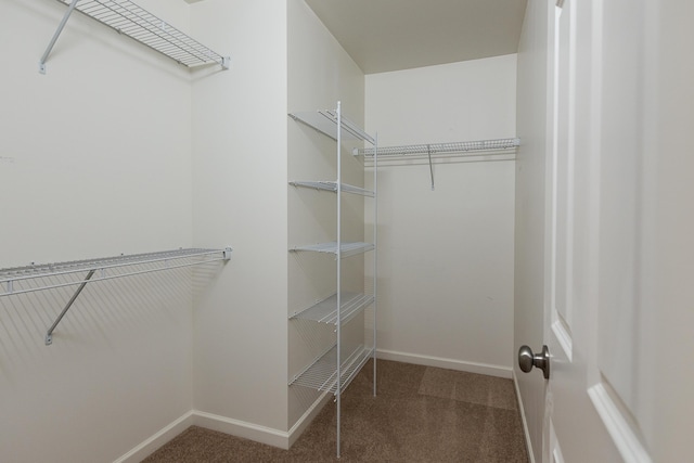 6837 Wellington Dr, Dexter, MI 48130 - walk in closet with carpet floors