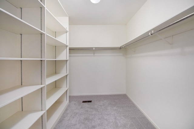 2314 Hickory Point Dr N, Portage, MI 49024 - spacious closet with carpet floors