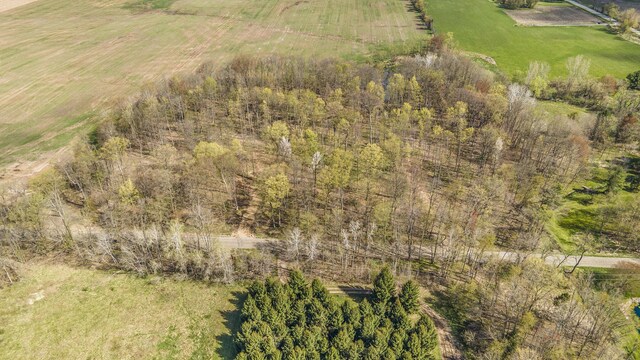 2191 W 116th St, Grant, MI 49327 - photo 3